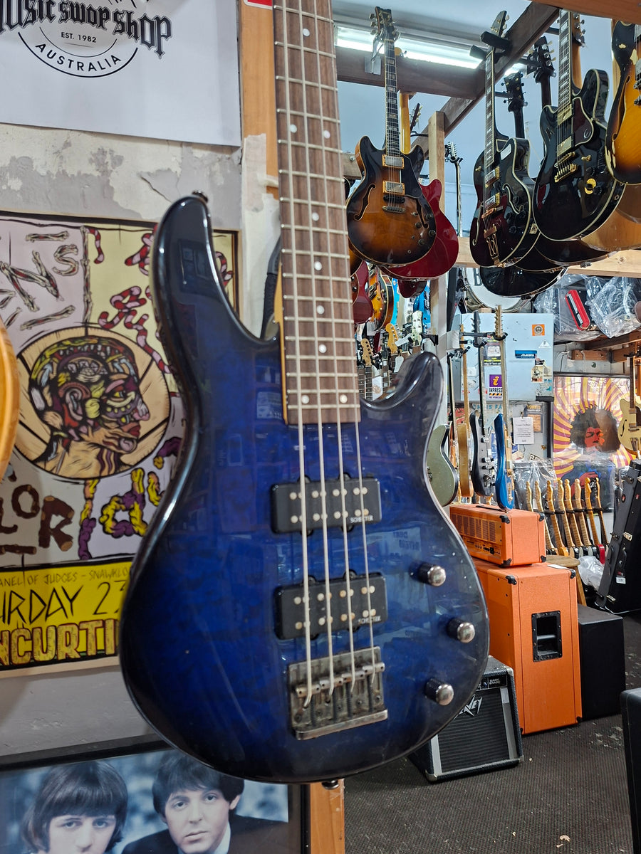 Schecter - Raiden Special-4 – musicswopshop
