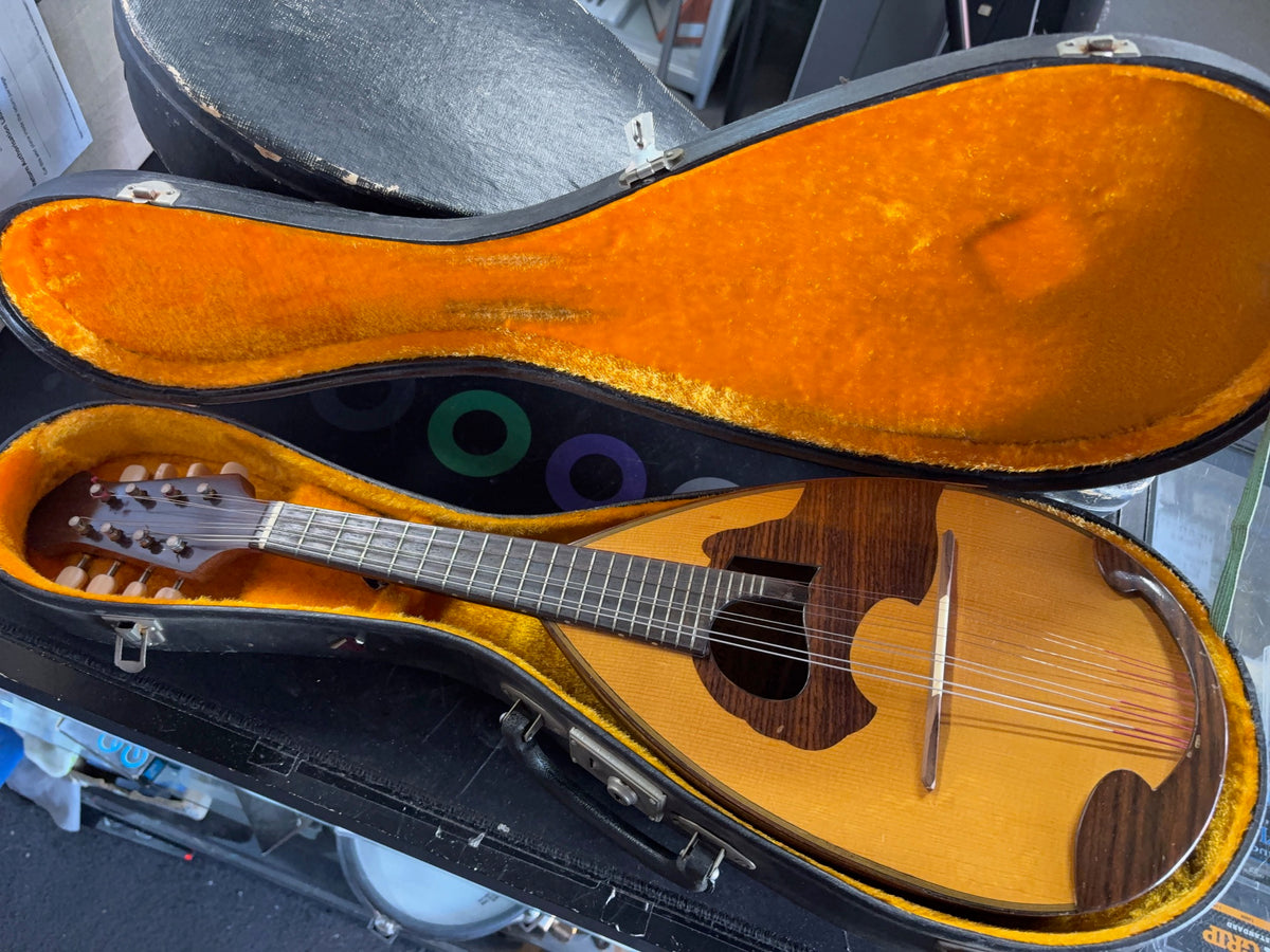 Kunishima - No.18 Mandolin – musicswopshop