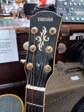 Yamaha  - APX-10