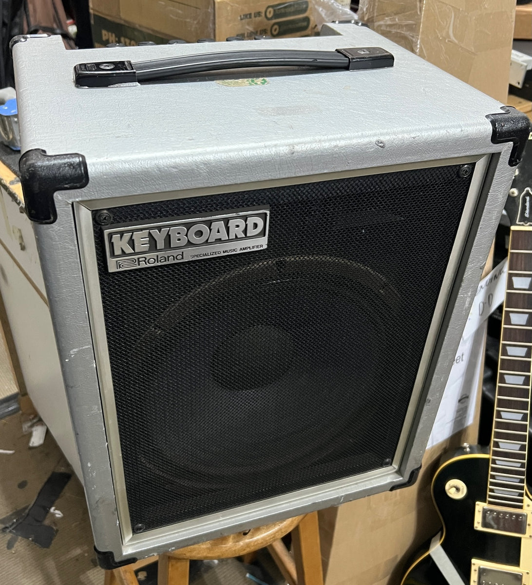 Roland cube keyboard amp discount