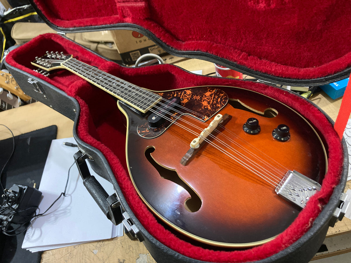 Samickサミック マンドリン sm20ts Samick - SM-20 E – musicswopshop