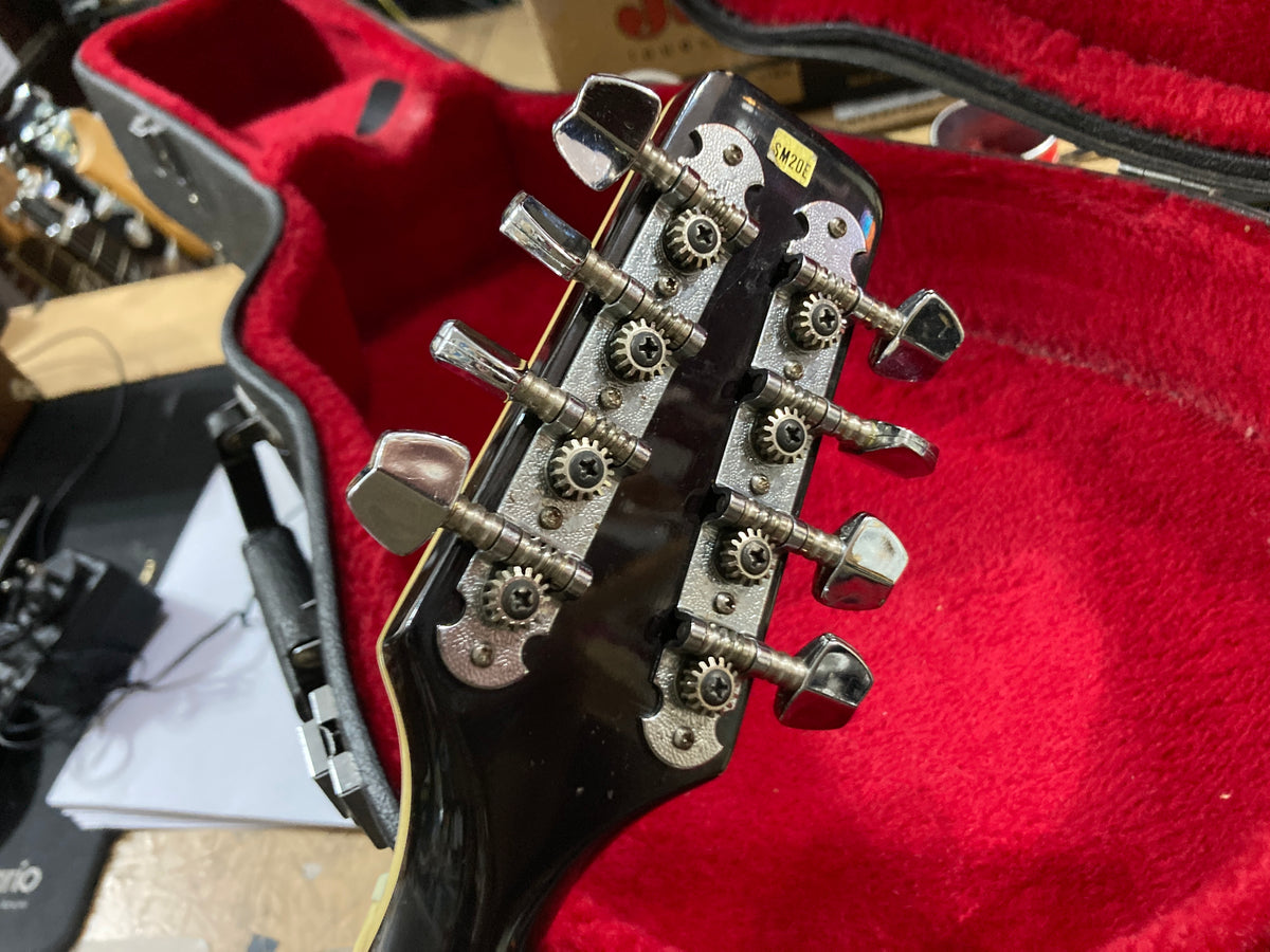 Samick - SM-20 E – musicswopshop