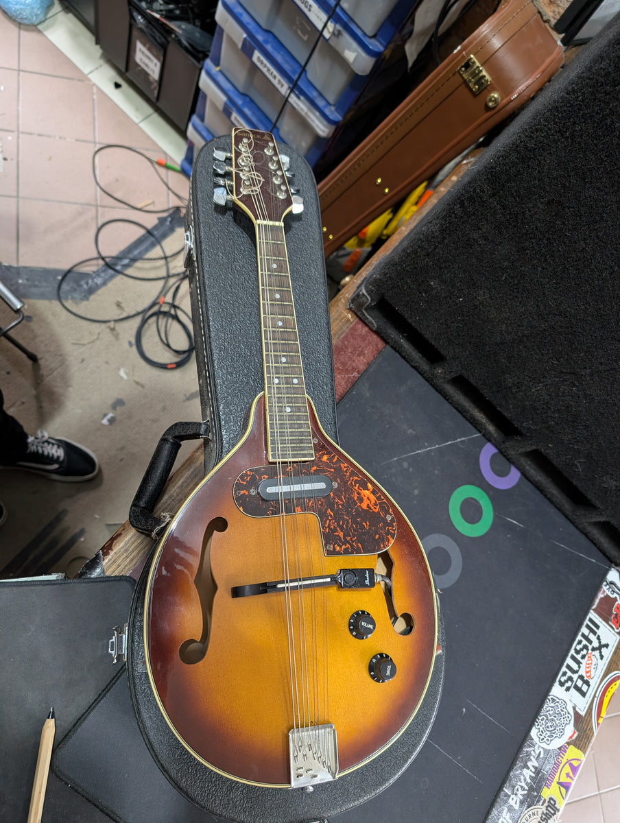 Samick - SM20E/TS Mandolin – musicswopshop