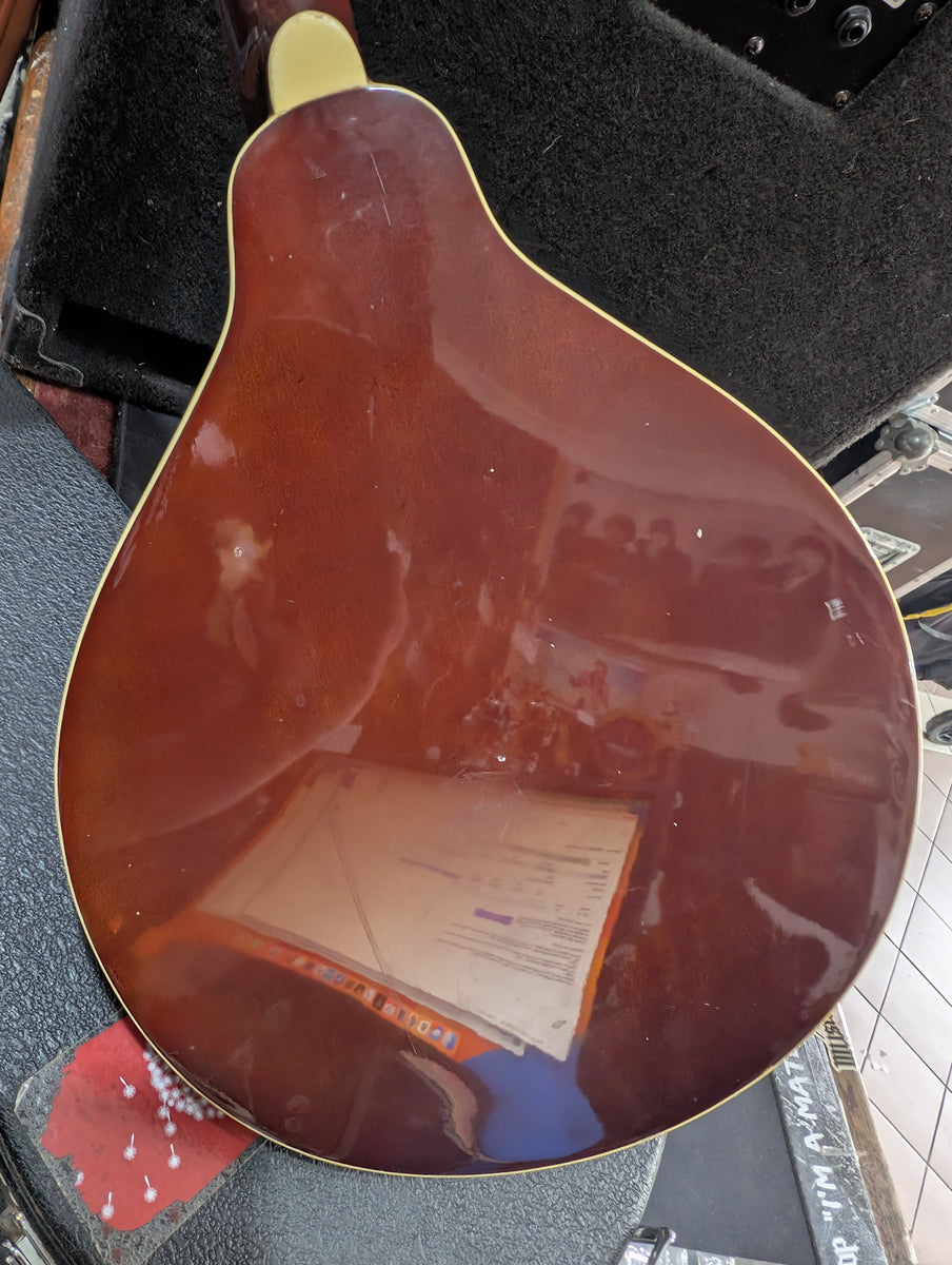 Samick - SM20E/TS Mandolin – musicswopshop