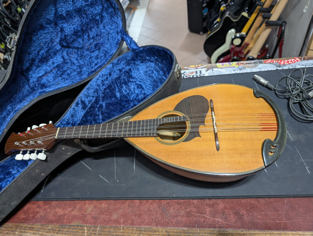SUZUKI マンドリン M-20 Suzuki - M-20 – musicswopshop