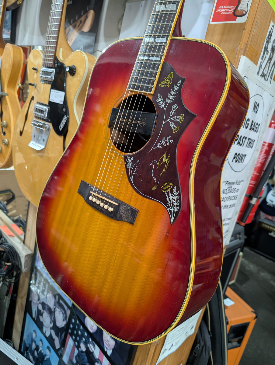 Pearl - PF-250 Hummingbird – musicswopshop