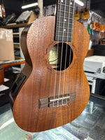 Tribute - Ukulele