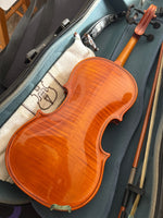 Strunal  - Dvorak Series Violin