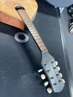 Mule Tool Productions - Mandolin