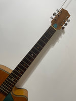 Ibanez Salvador - Model 4205