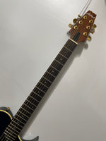 Aria Pro II - PE Series Solid Body Acoustic