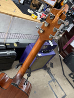Takamine - D50C