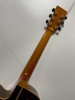Acoustico - AAG-30C-MR5G