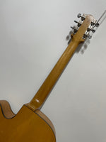 Ibanez Salvador - Model 4205