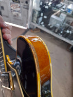 Ibanez - AS-200