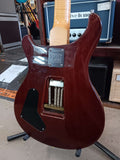 Paul Reed Smith - Swamp Ash Special