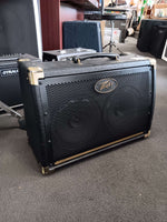 Peavey - Ecoustic 208