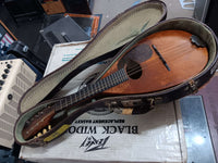 Martin - Bowl Back Mandolin
