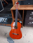 Wayne by Takamine - D-50