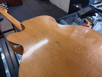 Ibanez Salvador - Model 4205