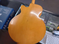 Ibanez Salvador - Model 4205