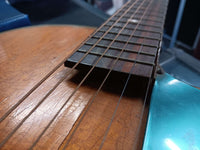 Ibanez Salvador - Model 4205
