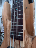 LTD by ESP - B-208FM