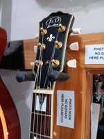 J & D Luthiers - Archtop