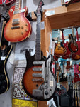 Teisco - WG-3L