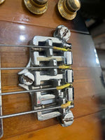 Gibson - Thunderbird