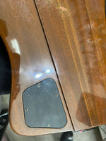 Gibson - Thunderbird