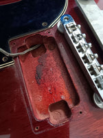 Gibson - SG Standard