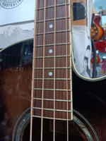 Ibanez - AEB10E