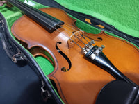 Parrot - 1/4 Violin