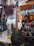 Epiphone - Embassy Standard IV Plus