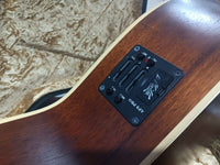 Maton - EBG808C