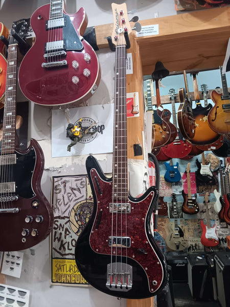 Nordstrand - Acinonyx