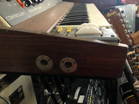 Moog - MiniMoog Model D