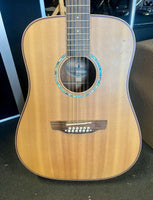 Timberidge - 12 String