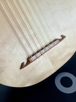 Early Music Shop - 7 Course Renaissance Lute