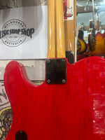 Fernandes - TE-95-T