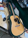 Washburn - D10S