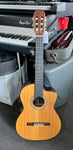 Takamine - DMP316