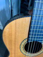 Takamine - DMP316