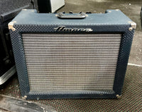Ampeg - Superjet SJ-12TW