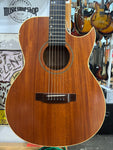 Woodtone - Handcrafted Acoustic Guitar