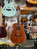 Woodtone - Handcrafted Acoustic Guitar