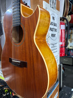 Woodtone - Handcrafted Acoustic Guitar