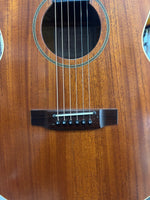 Woodtone - Handcrafted Acoustic Guitar