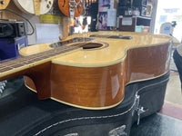 Washburn - F10SK